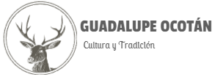 Logo Guadalupe Ocotan